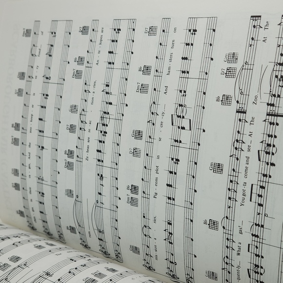 The Simon & Garfunkel Collection:18 Songs for Piano, Guitar, Vocals, 1988, SC - Picture 7 of 16